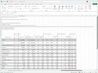 2025 August Summit Hut Summary Comp Excel Report Sample